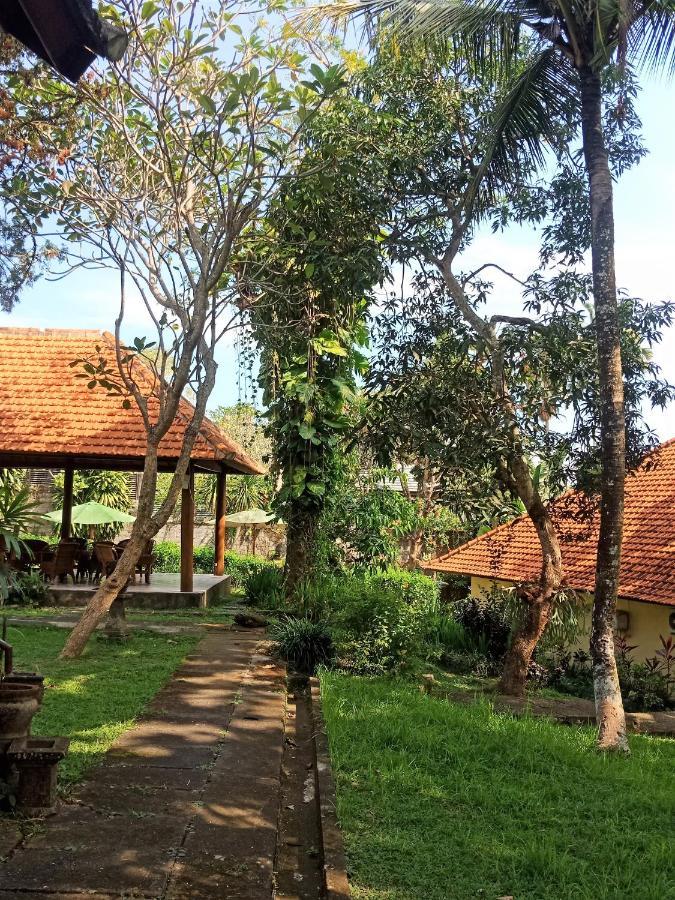 Argasoka Bungalows Убуд Экстерьер фото