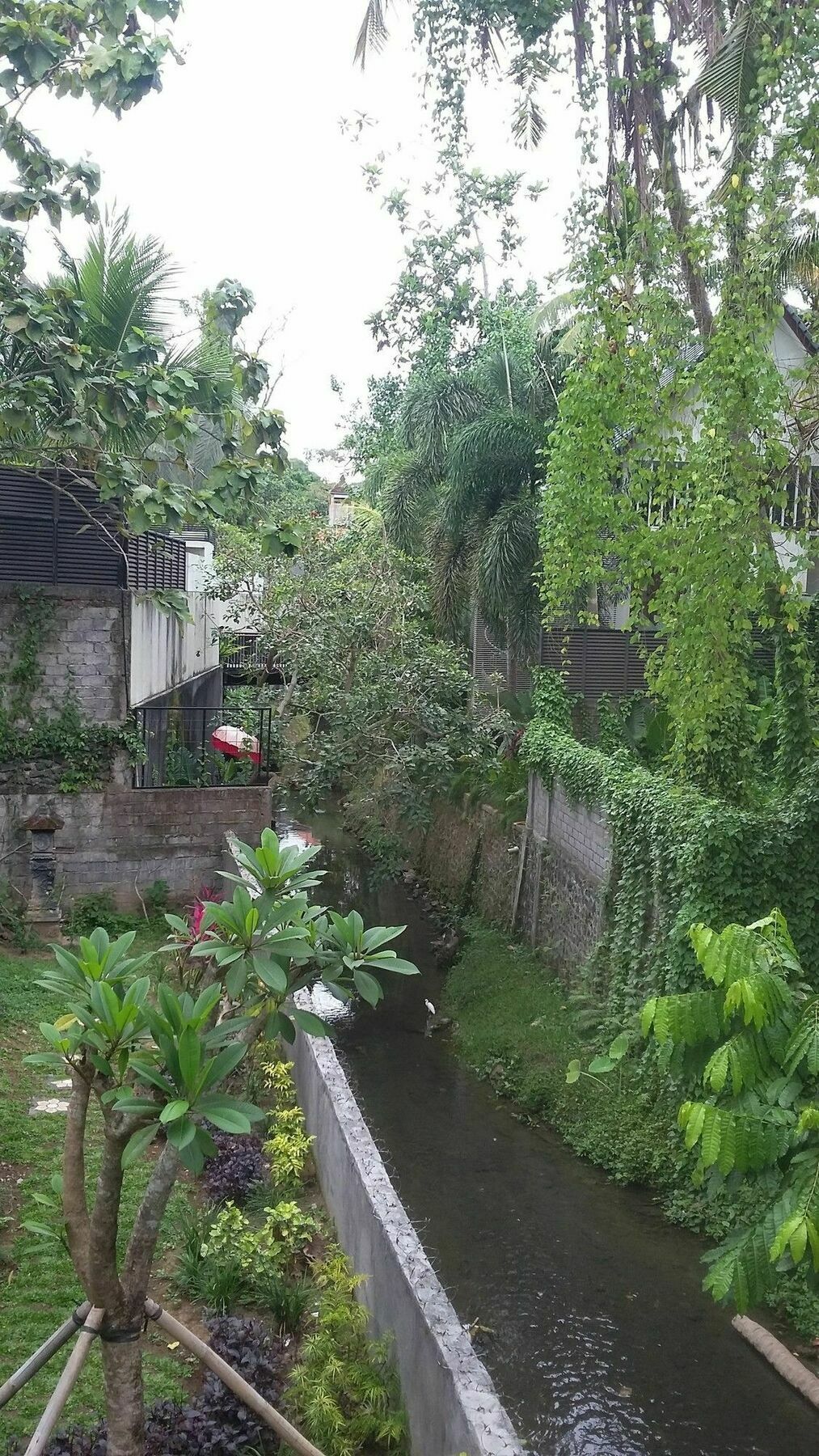 Argasoka Bungalows Убуд Экстерьер фото